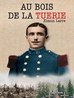 cover image of Au bois de la Tuerie